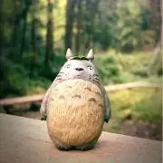 rocoの画像