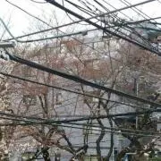 ☆メル☆☆☆の画像