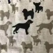 wanko ⑅の画像