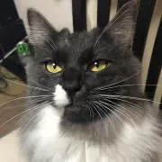 さのっち※プロフ必読の画像