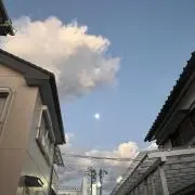 こーせいの画像