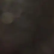 ははの画像