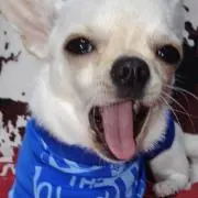 マーボー