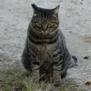 PARKERの画像