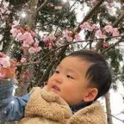 エリンギの画像