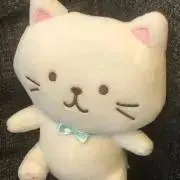 ねこやんの画像