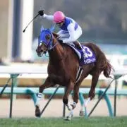 ぷるやんの画像