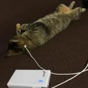 フルグラ