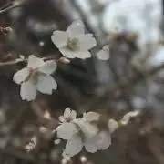 ♡♡の画像