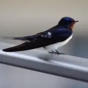 フッキン