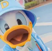 のきの画像