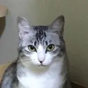佐野の画像