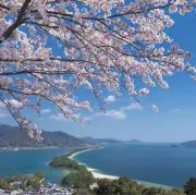 りんの画像