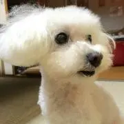 鶴ママ