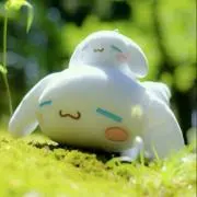 かめこり