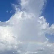 9の画像