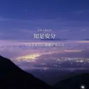 ふくろうの画像
