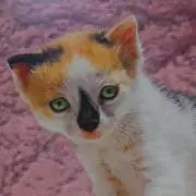 杏仁豆腐