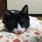 yuki⭐︎の画像