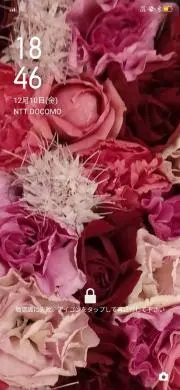 ビビアンの画像