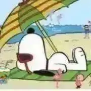 NUTの画像