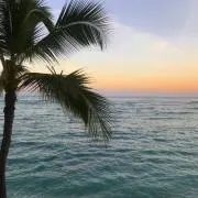 saの画像