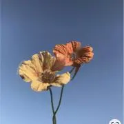aの画像