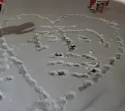 Unataの画像