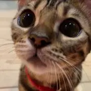 amo＊プロフィールご覧くださいの画像
