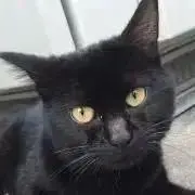 ぴり＊1週間以上前の物コメ下さいの画像