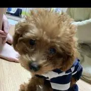 ♡かっくん♡の画像