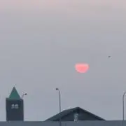たー坊