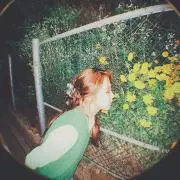 ꪔ̤̮‪の画像