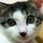 mimiの画像