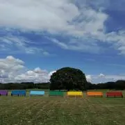 インディ