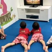 まちゃの画像