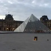 ゆーごんの画像