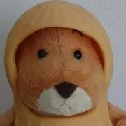 ロブスの画像