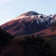 イトー。