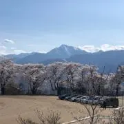 Tatsu8の画像