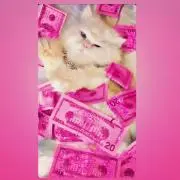 °_°まとめ買い割引◎即発送★値下げOKの画像