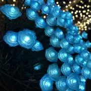 mimiの画像