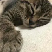 @ちーちゃん@