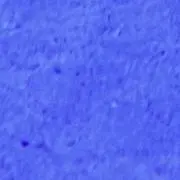 ケースケ⭐︎の画像