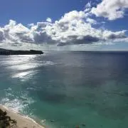 Tamaの画像