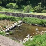 てっちゃんの画像