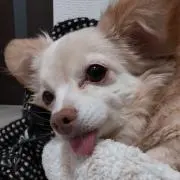 ☆nm☆の画像