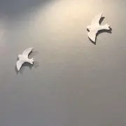 まゆの画像