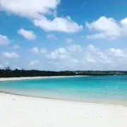 twinkle747の画像