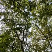 エッジポッパー◆プロフ読んで下さい◆の画像